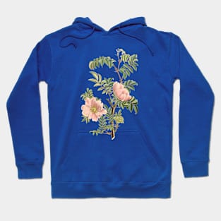 Wild Rose Flower Vintage Botanical Illustration Hoodie